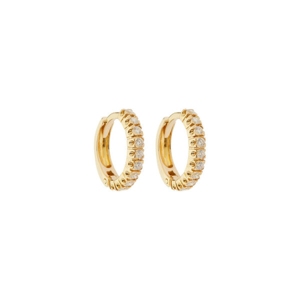 18K gold earrings
