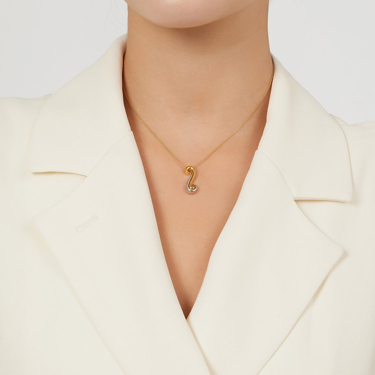 Apeiron 2026 Good Luck Pendant, Small Size with Chain - Image 2